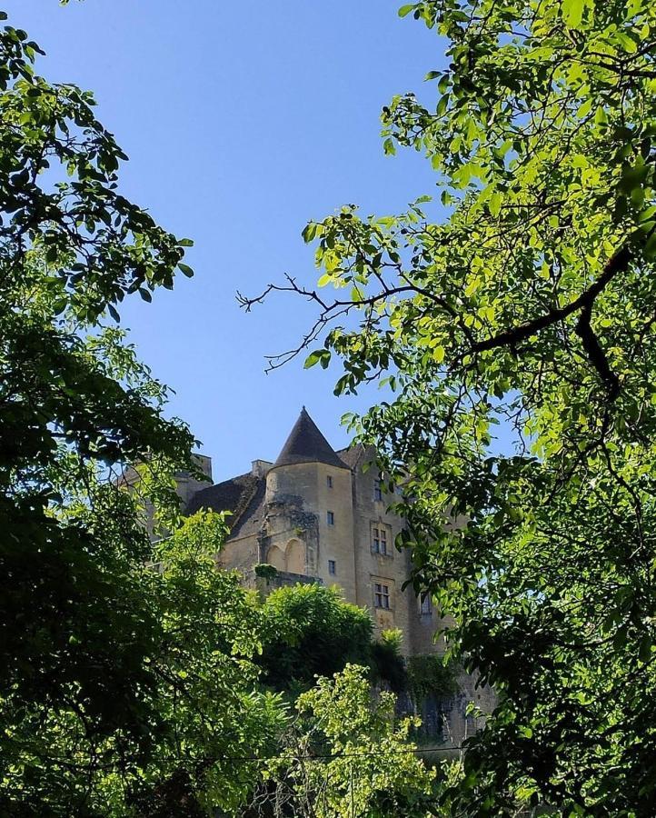 Petite Maison En Pierre Au Coeur Du Perigord Noir Proche De Sarlat Et Rocamadour Salignac Eyvigues Екстер'єр фото