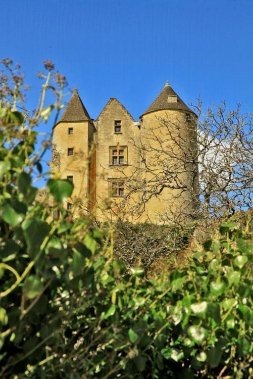 Petite Maison En Pierre Au Coeur Du Perigord Noir Proche De Sarlat Et Rocamadour Salignac Eyvigues Екстер'єр фото